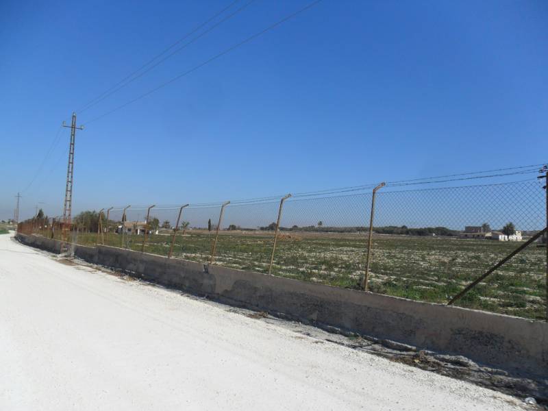Wiederverkauf - Grundstuck - La Marina - Elche Wiederverkauf - Grundstuck - La Marina - Elche