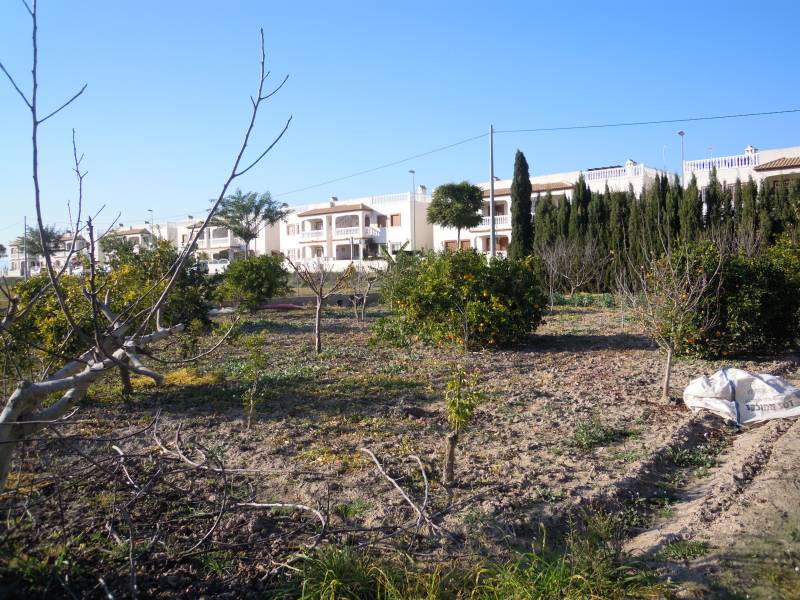 Resale - Detached Villa - Daya Vieja - Daya Vieja Resale - Detached Villa - Daya Vieja - Daya Vieja