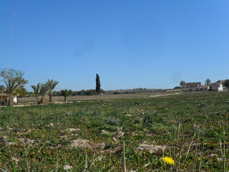 Wiederverkauf - Grundstuck - La Marina - Elche Wiederverkauf - Grundstuck - La Marina - Elche