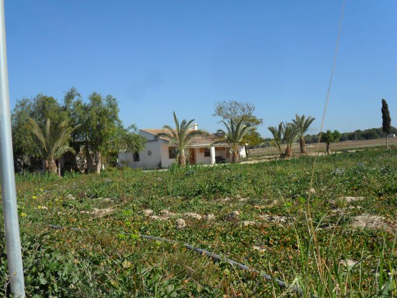 Reventa - Terreno - La Marina - Elche Reventa - Terreno - La Marina - Elche