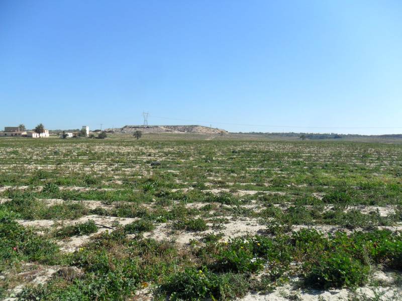 Wiederverkauf - Grundstuck - La Marina - Elche Wiederverkauf - Grundstuck - La Marina - Elche