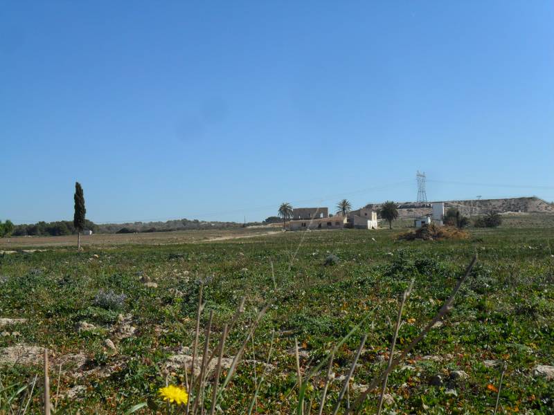 Wiederverkauf - Grundstuck - La Marina - Elche Wiederverkauf - Grundstuck - La Marina - Elche