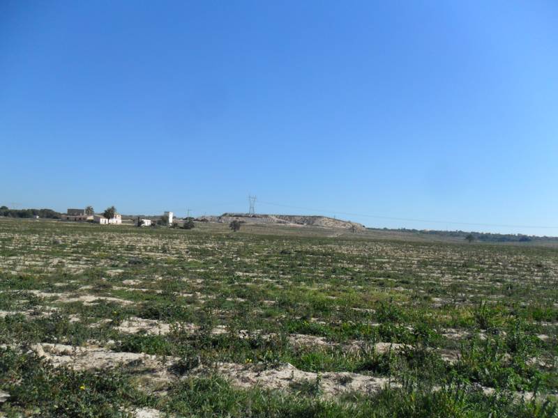 Wiederverkauf - Grundstuck - La Marina - Elche Wiederverkauf - Grundstuck - La Marina - Elche