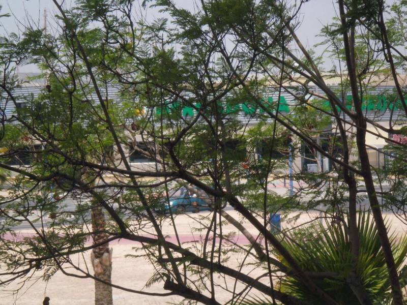 Resale - apartement - La Marina - La Marina Resale - apartement - La Marina - La Marina