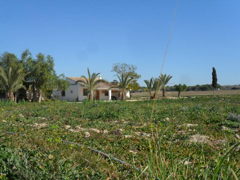 Wiederverkauf - Grundstuck - La Marina - Elche Wiederverkauf - Grundstuck - La Marina - Elche