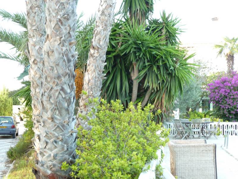 Reventa - Casa de campo - Elche - Elche Reventa - Casa de campo - Elche - Elche