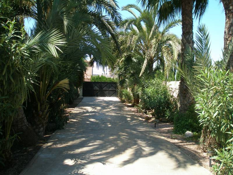 Wiederverkauf - Freistehendes Haus - La Marina - La Marina Wiederverkauf - Freistehendes Haus - La Marina - La Marina