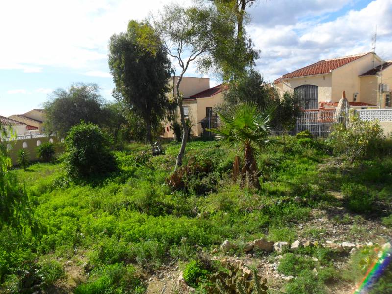 Resale - Detached Villa - La Marina - La Marina Resale - Detached Villa - La Marina - La Marina