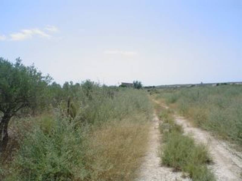 Wiederverkauf - Grundstuck - La Marina - Elche Wiederverkauf - Grundstuck - La Marina - Elche