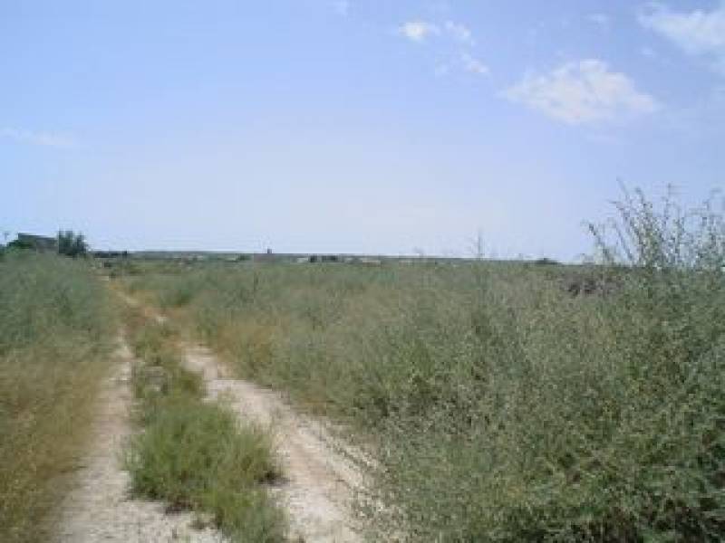 Wiederverkauf - Grundstuck - La Marina - Elche Wiederverkauf - Grundstuck - La Marina - Elche