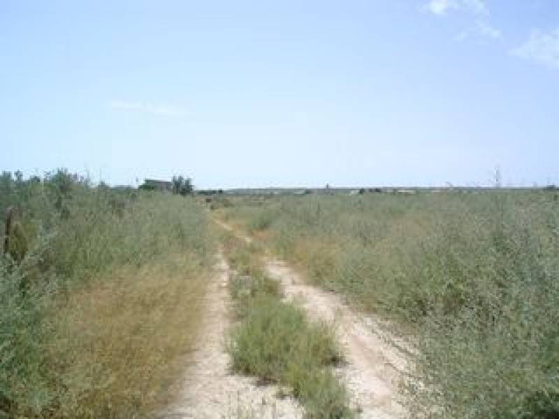 Wiederverkauf - Grundstuck - La Marina - Elche Wiederverkauf - Grundstuck - La Marina - Elche