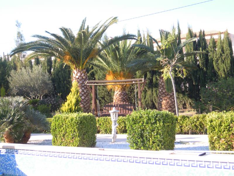 Resale - Detached Villa - Daya Vieja - Daya Vieja Resale - Detached Villa - Daya Vieja - Daya Vieja