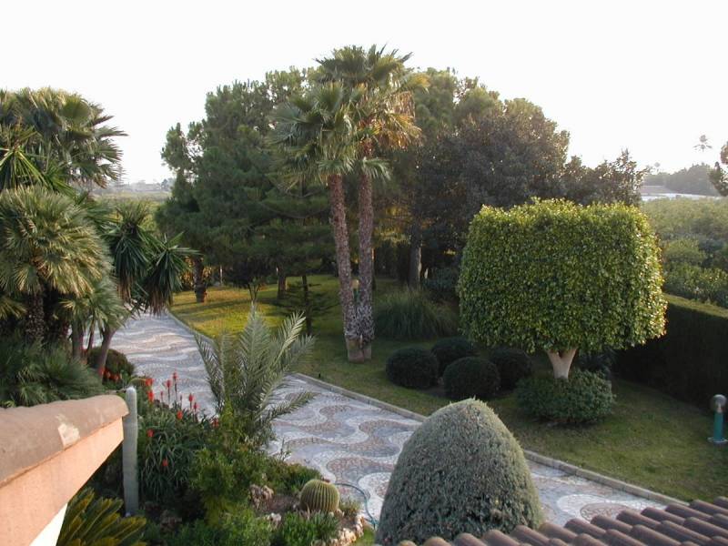 Reventa - Casa de campo - Elche - Elche Reventa - Casa de campo - Elche - Elche