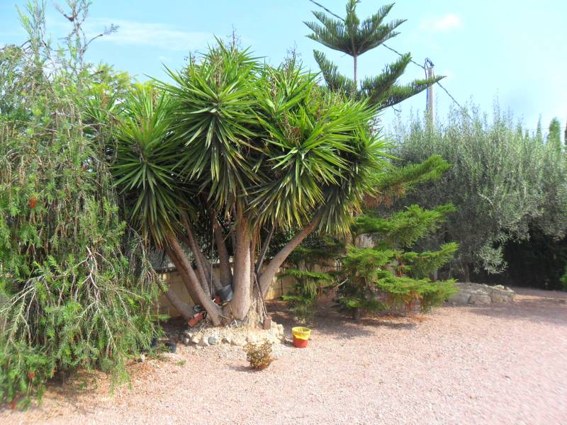 Resale - Country House - Dolores - dolores Resale - Country House - Dolores - dolores
