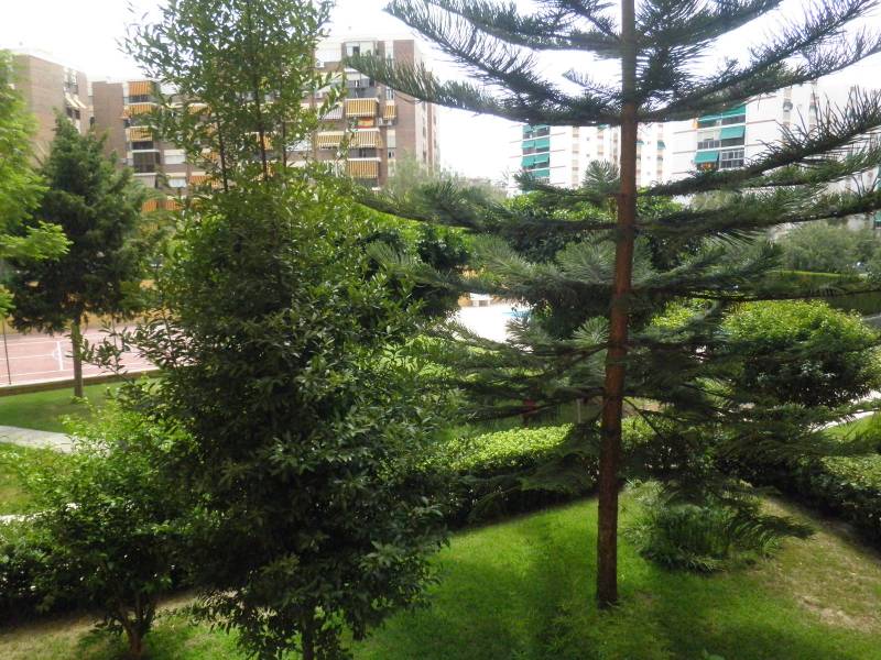 Resale - apartement - La Marina - La Marina Resale - apartement - La Marina - La Marina
