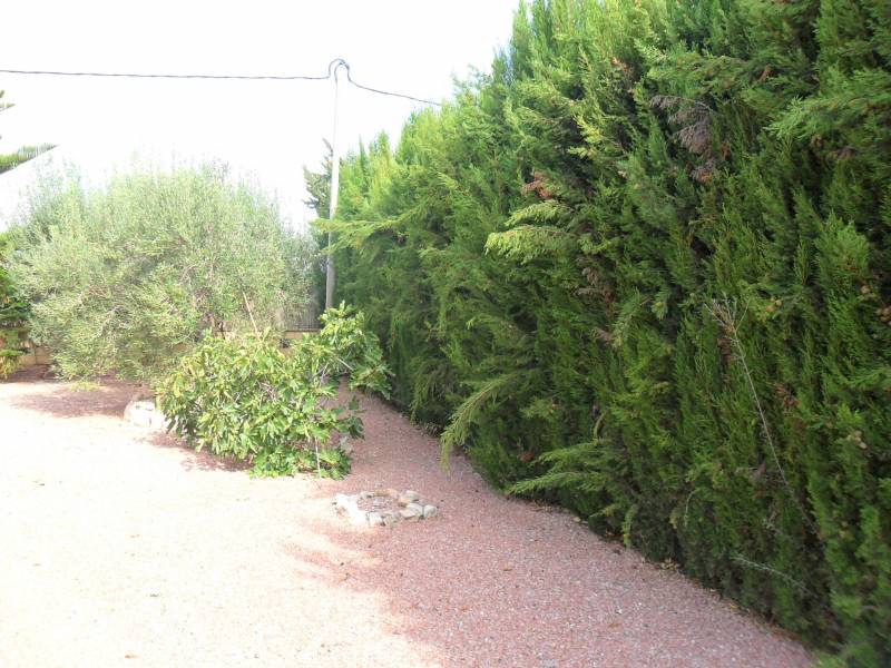 Resale - Country House - Dolores - dolores Resale - Country House - Dolores - dolores